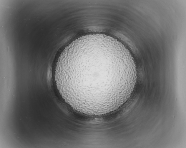 X0000101690398200807311416