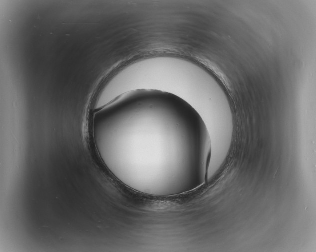 X0000101690399200807311416