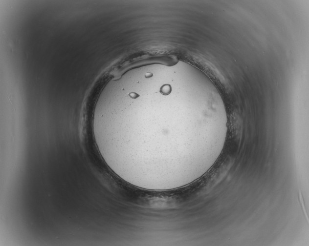 X0000101690400200807311416