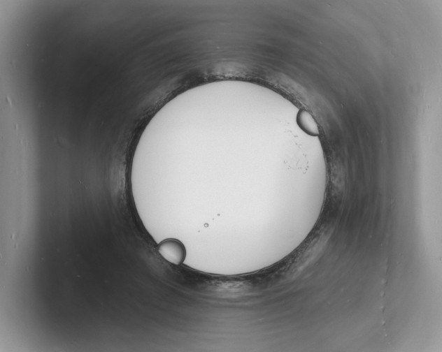 X0000101690401200807311416