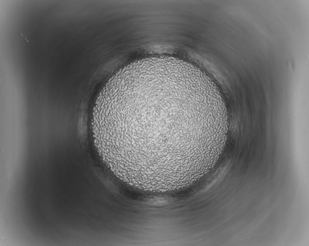 X0000101690402200807311416