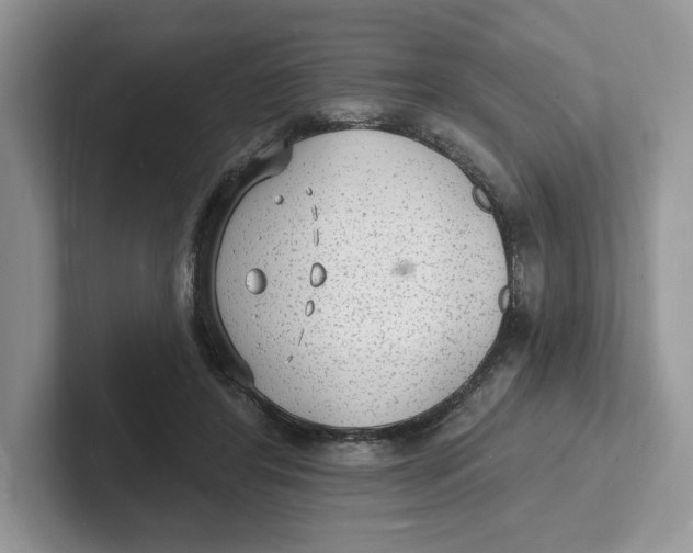 X0000101690404200807311416