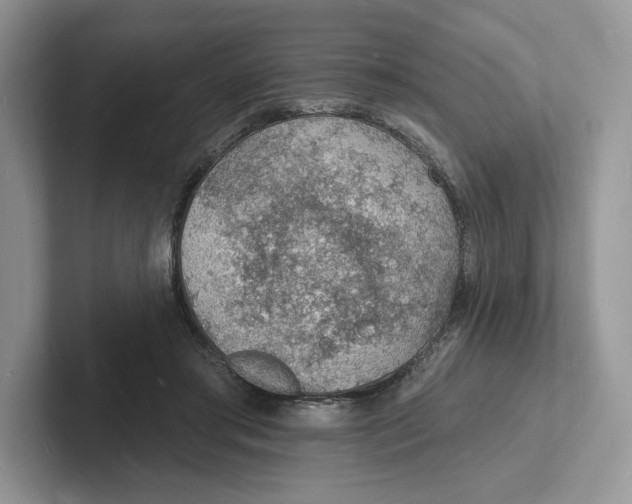 X0000101690405200807311416