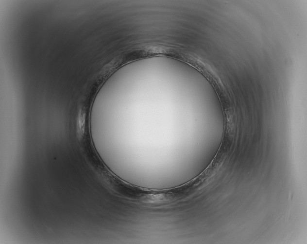 X0000101690406200807311416