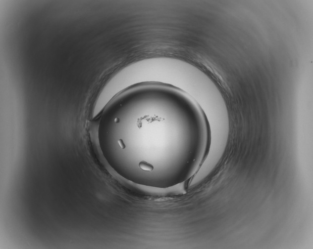 X0000101690407200807311416