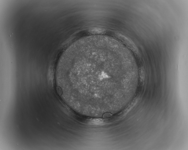 X0000101690409200807311416