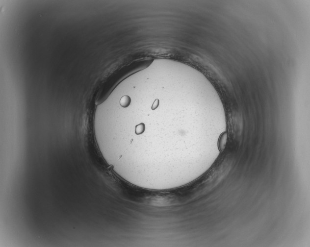 X0000101690412200807311416