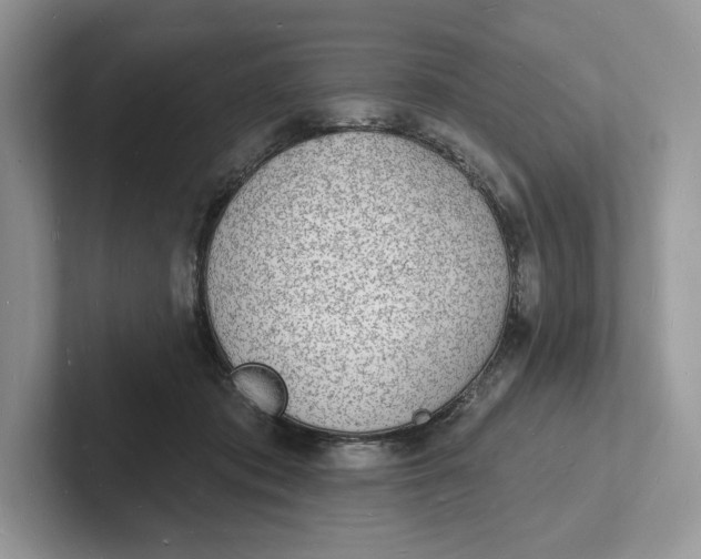 X0000101690413200807311416