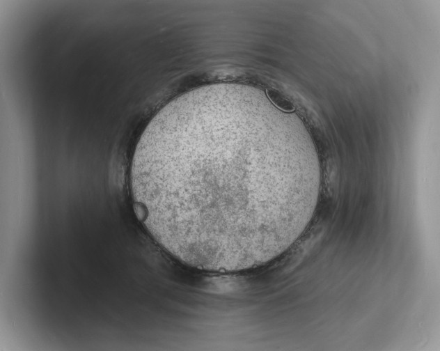 X0000101690417200807311416