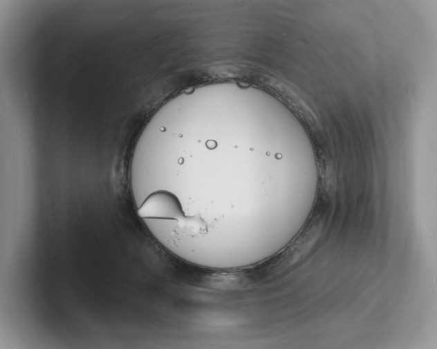 X0000101690418200807311416