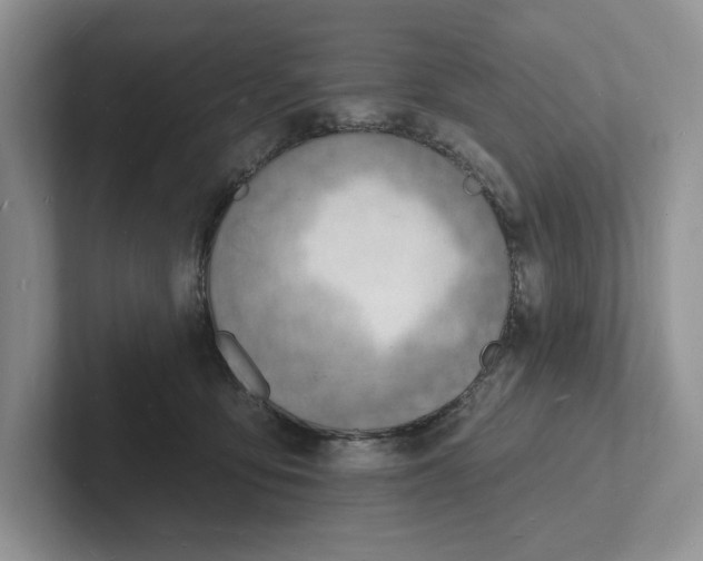 X0000101690419200807311416