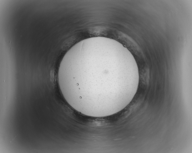 X0000101690420200807311416