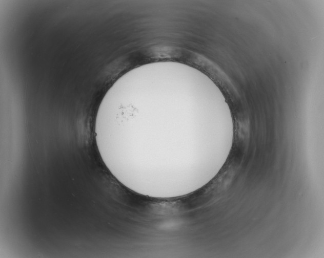 X0000101690422200807311416