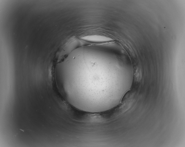 X0000101690424200807311416