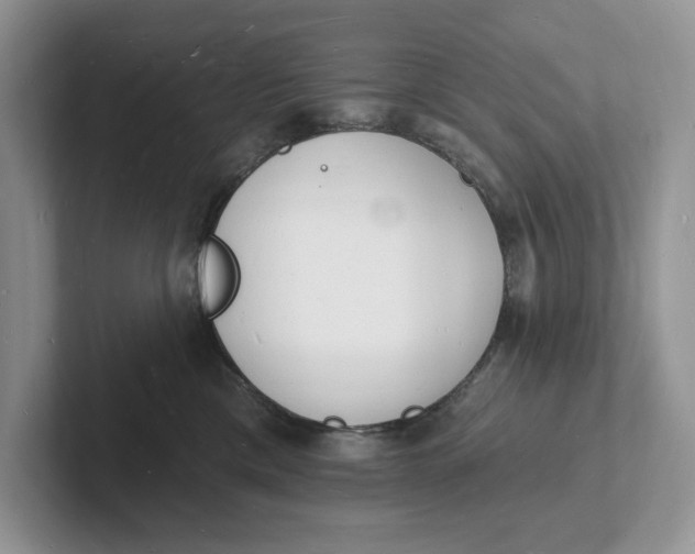 X0000101690425200807311416