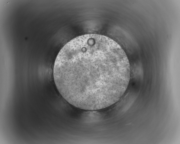 X0000101690427200807311415