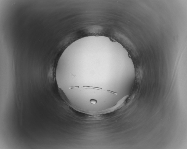 X0000101690428200807311415