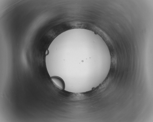 X0000101690429200807311415