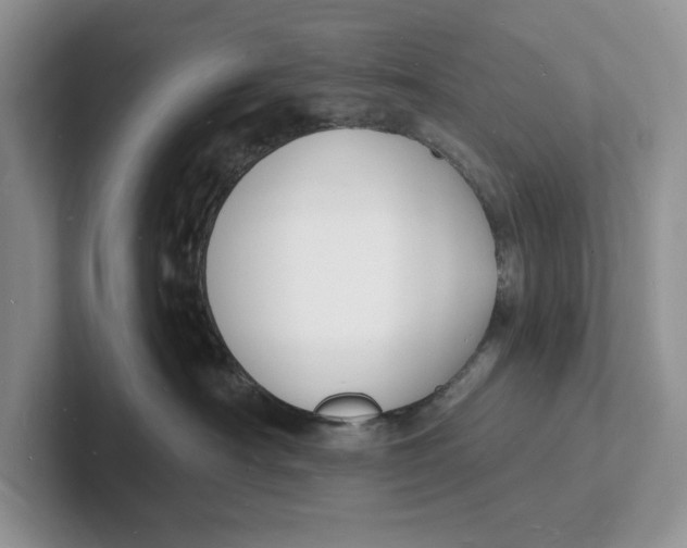 X0000101690430200807311415