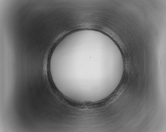 X0000101690434200807311415