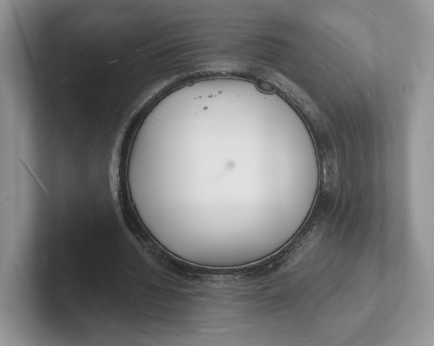 X0000101690436200807311415