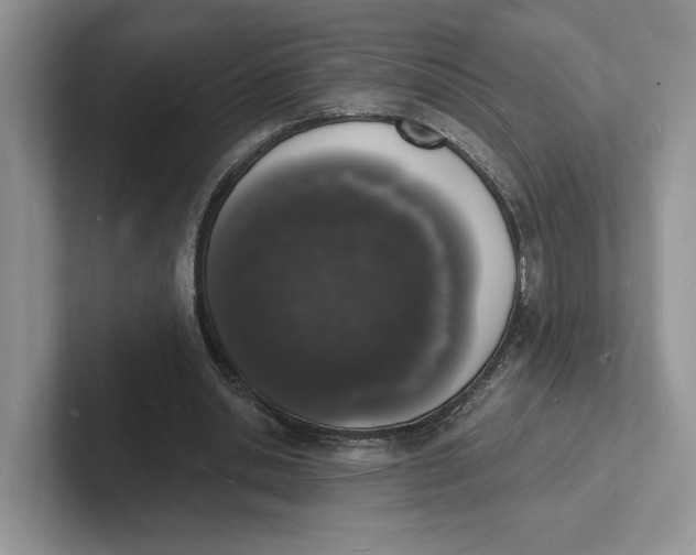 X0000101690438200807311415