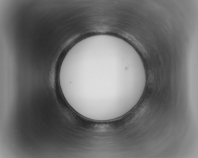 X0000101690440200807311415