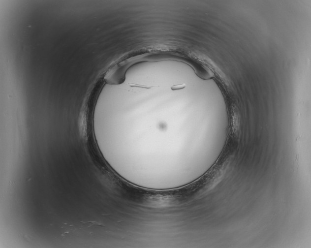 X0000101690444200807311415