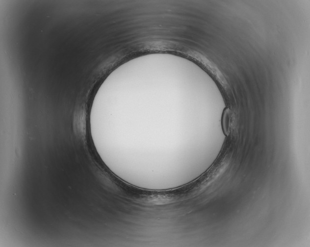 X0000101690445200807311415