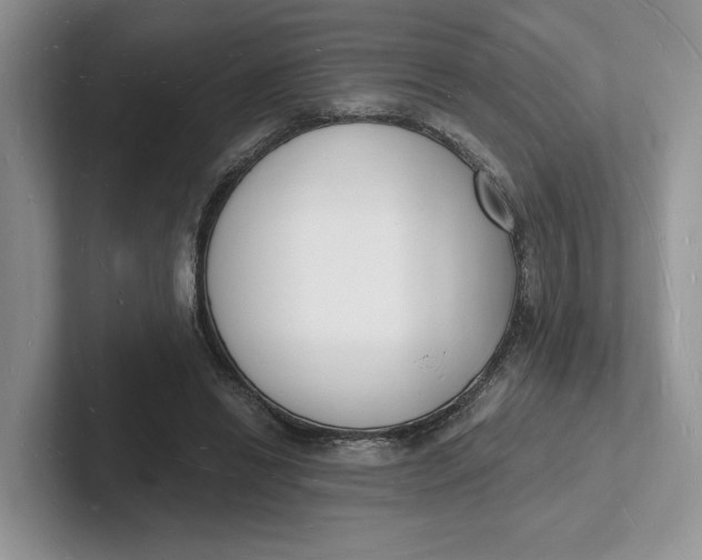 X0000101690446200807311415