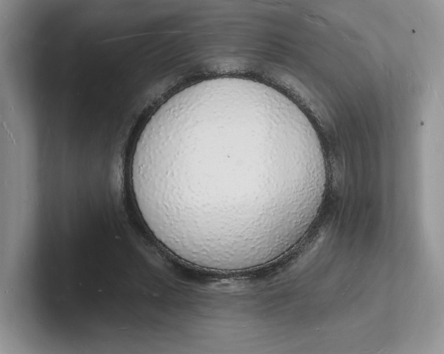 X0000101690447200807311415