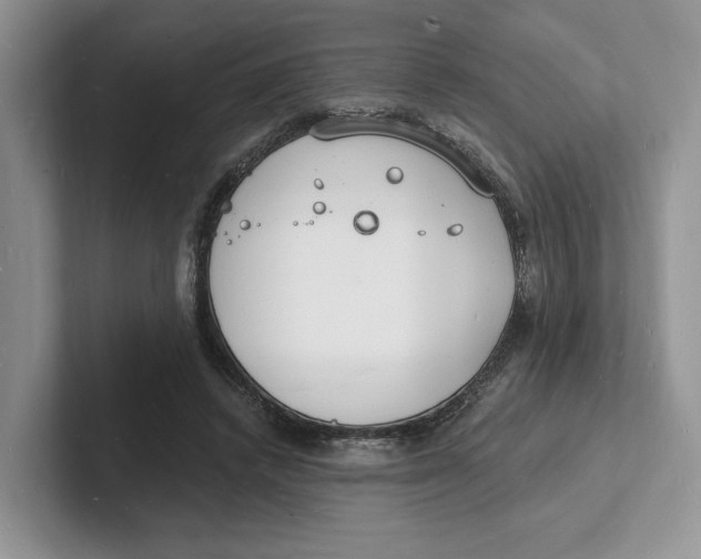 X0000101690448200807311415