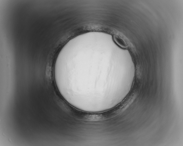 X0000101690449200807311415