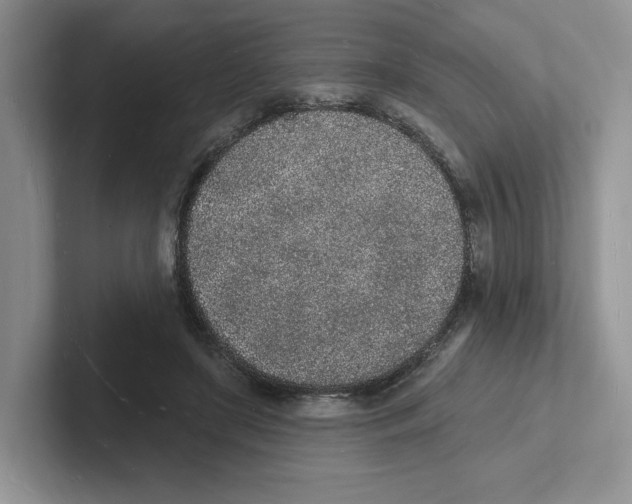 X0000101690451200807311415