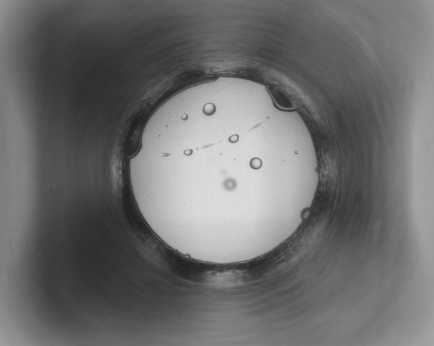 X0000101690452200807311415