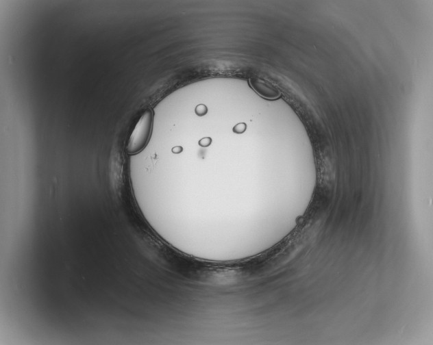 X0000101690456200807311415