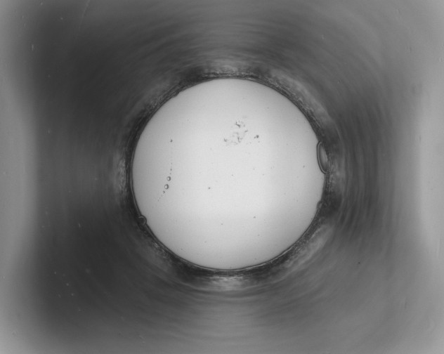 X0000101690457200807311415