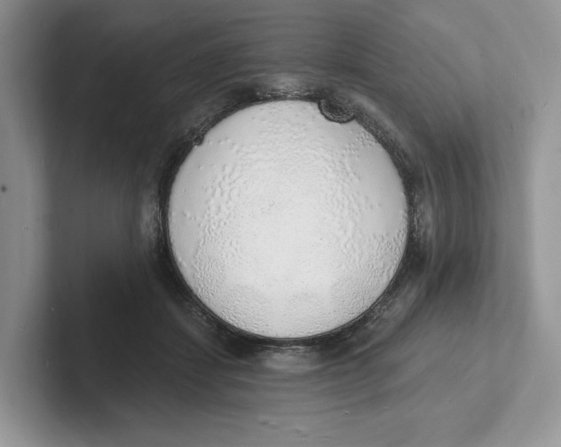 X0000101690459200807311415