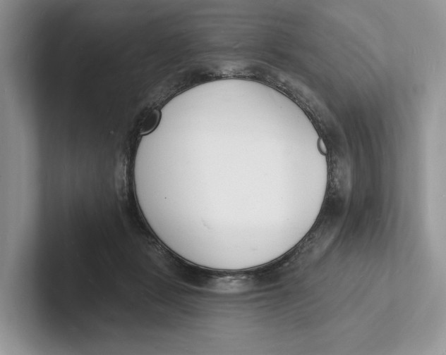 X0000101690461200807311415