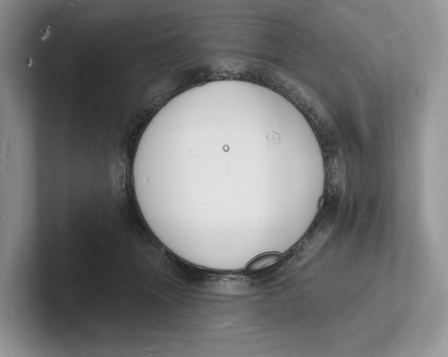 X0000101690463200807311415