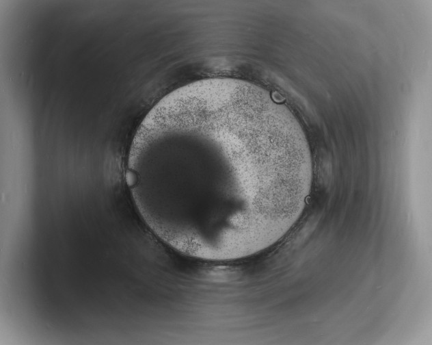 X0000101690467200807311415