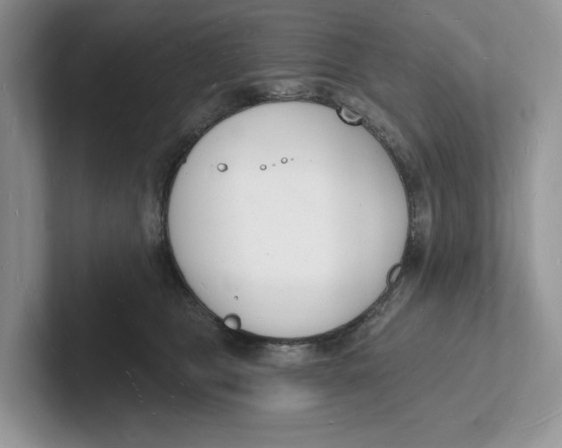 X0000101690469200807311415