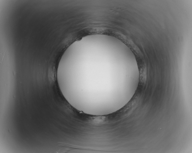 X0000101690474200807311415