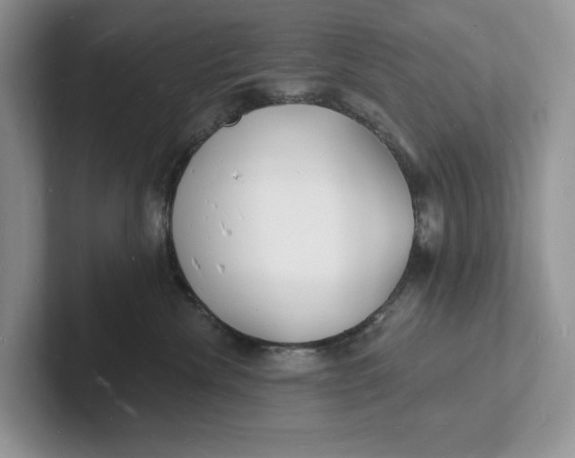 X0000101690476200807311415