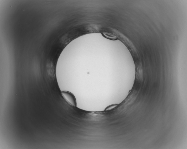 X0000101690477200807311415