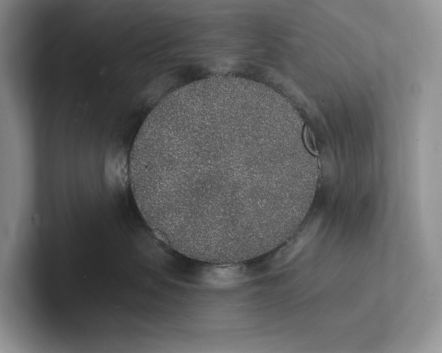 X0000101690479200807311415