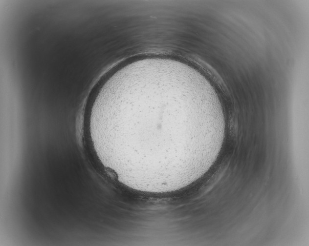 X0000101690484200807311415