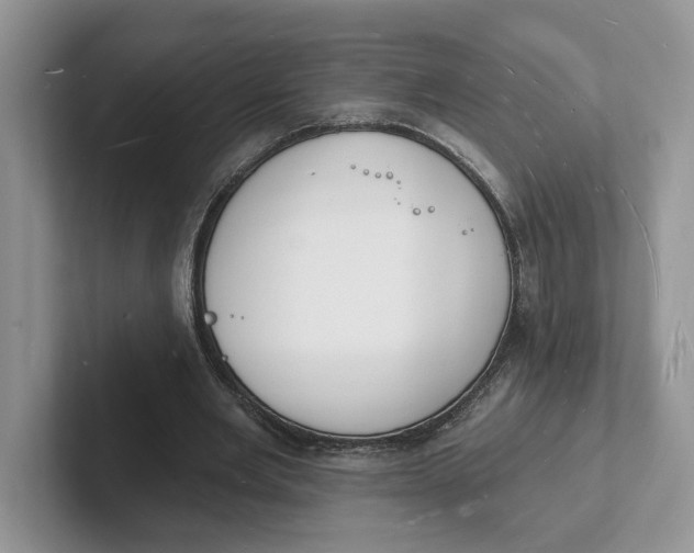 X0000101690485200807311415