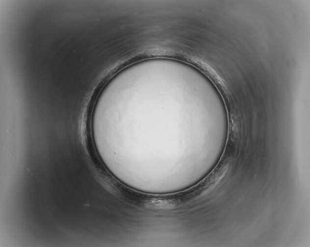 X0000101690487200807311415