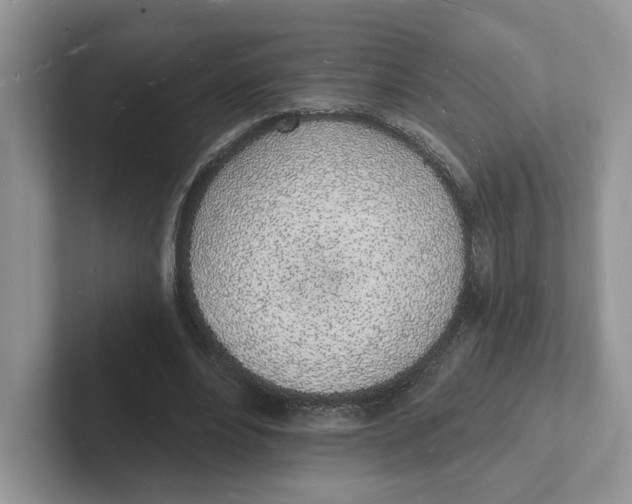 X0000101690488200807311415